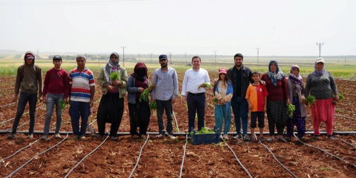 Sigortalı çiftçi sayısında büyük düşüş